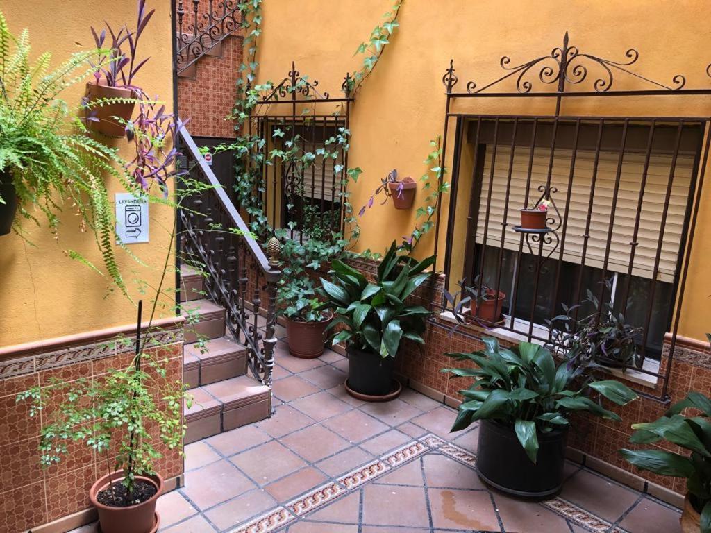 Tranquilo E Ideal Parejas, Con Bonitas Vistas De Y Fantastica Ubicacion Apartment